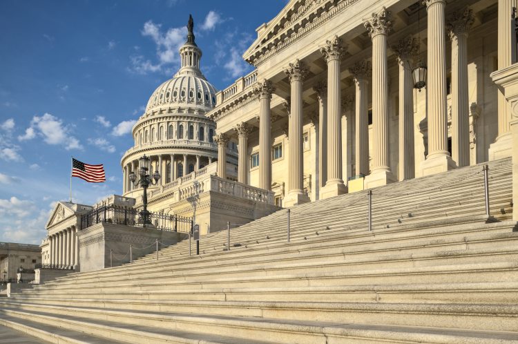The Budget is Big, but is it Beautiful?